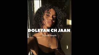 Jelly  DOLEYAN CH JAAN  Slowed Reverb  latest Punjabi song [upl. by Mattland]