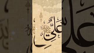 Haider e karrarmeriulfatmadineseyunhinahi Ya Ali islamicmusic ytshorts [upl. by Scott]