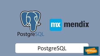 Mendix PostgreSQL DB Connection [upl. by Annuaerb]