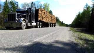 Peterbilt 379X Log Hauler [upl. by Rab48]