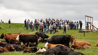 Thousands attend Tullamore Farm open day 2022 [upl. by Laeno]