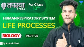 Human Respiratory System Class 10 Life Processes One Shot Class 10 ScienceLife Process Class 10 [upl. by Ttimme]