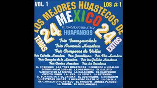 Various Artists  Los Mejores Huastecos De Mexico Vol 1 Disco Completo [upl. by Aicenev]