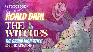 The Witches  Roald Dahl  Chapter 4 The Grand High Witch audiobook storytime inkreads [upl. by Bunch78]