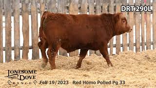 Lonesome Dove Bull Lot DRT 290L sells Friday March 1 2024 [upl. by Dorcus]