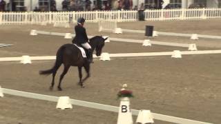 Ecco FEI European Championships 2013 Herning  ParaDressage Day 2 Highlights [upl. by Ingemar]