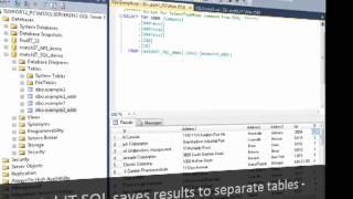 Cleanse Standardize and Validate SQL Data in SSIS [upl. by Menashem]