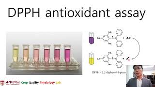 DPPH assay 방법 간단소개 [upl. by Vassily]