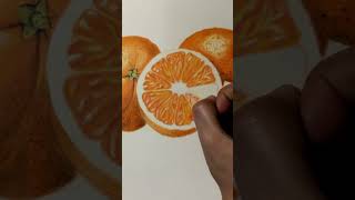 How To Draw Still Life With Colored Pencils shorts youtubeshorts drawing [upl. by Leontyne267]