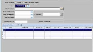 saisie recettes depenses sur ciel compta libérale flv [upl. by Eliak511]