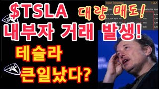 TSLA 내부자 거래 발생 대량 매도  테슬라 큰일났다 큰 타격 우려  테슬라 투자  Tesla 주가 [upl. by Tawney]