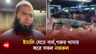 ইতালি যেতে ব্যর্থগরুর খামার করে সফল নজরুল  Cow farm in bangladesh  Protidiner Bangladesh [upl. by Sibyl]