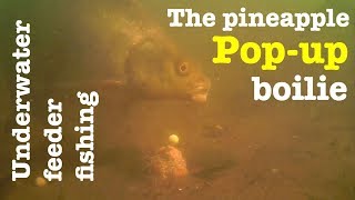 The Pineapple popup  Underwater feeder fishing  Breamtime S2 E17 [upl. by Nelleh579]