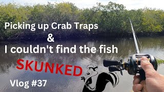 Vlog 37 Skunked picking up blue crab traps for my kayak haulover fishing report inshore [upl. by Namialus]