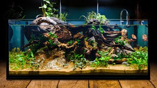 Perfecting the Low Tech Fish Tank in DIY IKEA Aquarium [upl. by Orenid281]