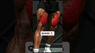 Top Quad Workout for Beginners  Get started the Right Way [upl. by Anirat]