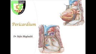 Pericarditis Symptoms Pathophysiology Causes Diagnosis and Treatments Animation [upl. by Josepha]