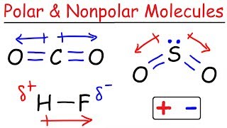 Polar and Nonpolar Molecules [upl. by Isteb]