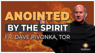 Fr Dave Pivonka TOR  Anointed By the Spirit  Power and Purpose Conference [upl. by Roban]