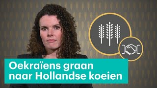 Hoe het Oekraïense graan vooral naar koeien ging • Z zoekt uit [upl. by Enilrem]