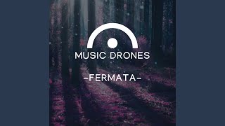 C Drone FERMATA [upl. by Groscr]