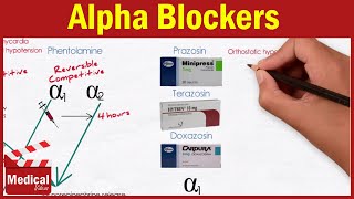 Pharmacology ANS 17 Alpha Blockers  Prazosin Terazosin Doxazosin Tamsulosin and Alfuzosin [upl. by Anzovin]