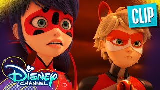 Strikeback  Miraculous Ladybug  disneychannel x Miraculous [upl. by Corilla299]