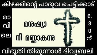 14 FEBRUARY 2024  ദിവ്യബലി  ST ANTONYS SHRINE CHETTIKKAD [upl. by Itsuj]