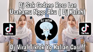 DJ KALAH  DJ SAK GEDENE ROSO LAN USAHAMU NGGO AKU VIRAL TIKTOK TERBARU 2024 [upl. by Eetnom]