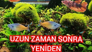 AKVARYUM ODASINDA SON DURUM  NELER OLDU NELER [upl. by Isyed]