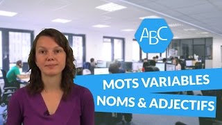 Cours de français 6ème catégorie de mots variables les noms et les adjectifs [upl. by Buchalter578]