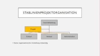 Projekt Organisationsformen [upl. by Olegnaid]