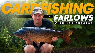 CARP FISHING at Farlows with Carp Angling Pro Rob Burgess  Carp Rigs  Mainline Baits Carp Fishing [upl. by Eustace]