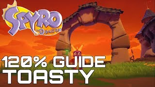 Spyro The Dragon Reignited 120 Guide TOASTY ALL GEMS EGGS DRAGONS [upl. by Almira]