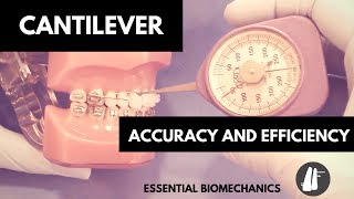 Cantilever  Essential Biomechanics [upl. by Rettke]