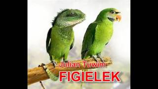 FIGIELEK  wiersze Juliana Tuwima [upl. by Nessim]