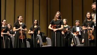 Anderson  Fiddle Faddle TMEA  Plano West Chamber Orchestra [upl. by Obeded]