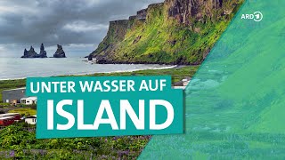 Island  Magische Unterwasserwelt  ARD Reisen [upl. by Aidnis]