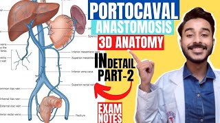 portocaval anastomosis anatomy 3d  portosystemic communications anatomy  portal vein anastomosis [upl. by Ilek]