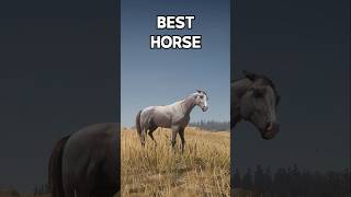 Horse with The Highest Stats  RDR 2 [upl. by Shig456]