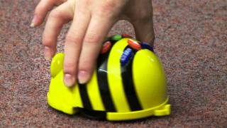 BeeBot® Programmable Floor Robot from TTS Group [upl. by Meakem]