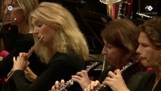 Mussorgsky Night on Bald Mountain  Radio Filharmonisch Orkest  Live concert HD [upl. by Zed]