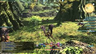 FF XIV ARR Bard Class Quest Level 45  Artifact Gear Quest [upl. by Coates]