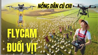 Flycam Chăn Vịt trênh cánh đồng Củ Chi Test flycam DJI Mini 4 Pro đuổi vịt chạy đồng [upl. by Camilia]