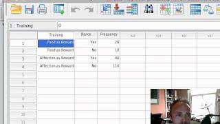 ChiSquare Test on SPSS [upl. by Sardse]