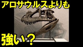 【ゆっくり解説】ケラトサウルス【ゆっくり恐竜解説傑作選】 [upl. by Hgielek]