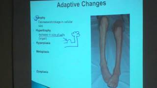 1 Topic 1 Adaptive changes [upl. by Danuloff620]