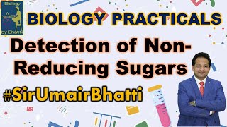 Biochemical Test For the Detection of Non Reducing Sugars  FSc Biology Practical  SirUmairBhatti [upl. by Melanie]