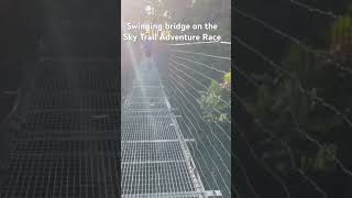 Swinging bridge on the trail trailrun trailrunning adventureracing [upl. by Culliton]