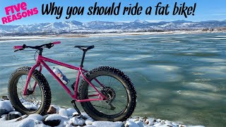 Five Reasons Why You Should Ride A Fat Bike  Top Five Reasons  fatbike [upl. by Udela648]